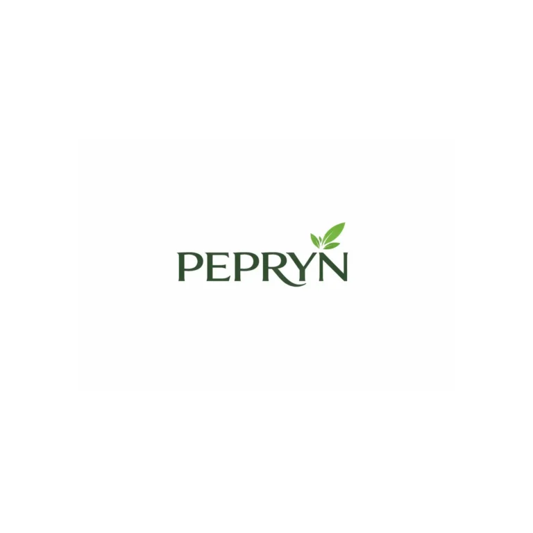 pepryn digital marketing agency in wayanad